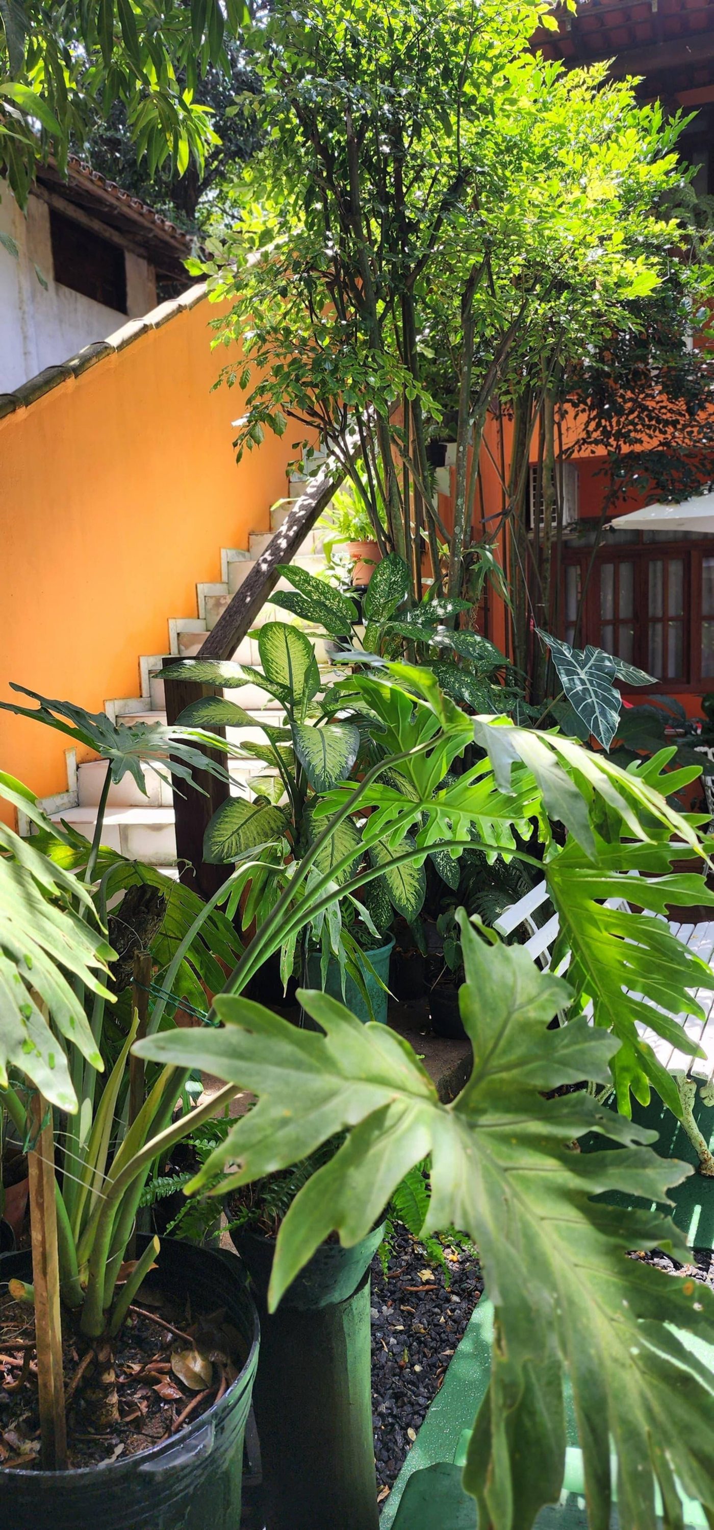 Casa da Lau Trancoso — foto 3